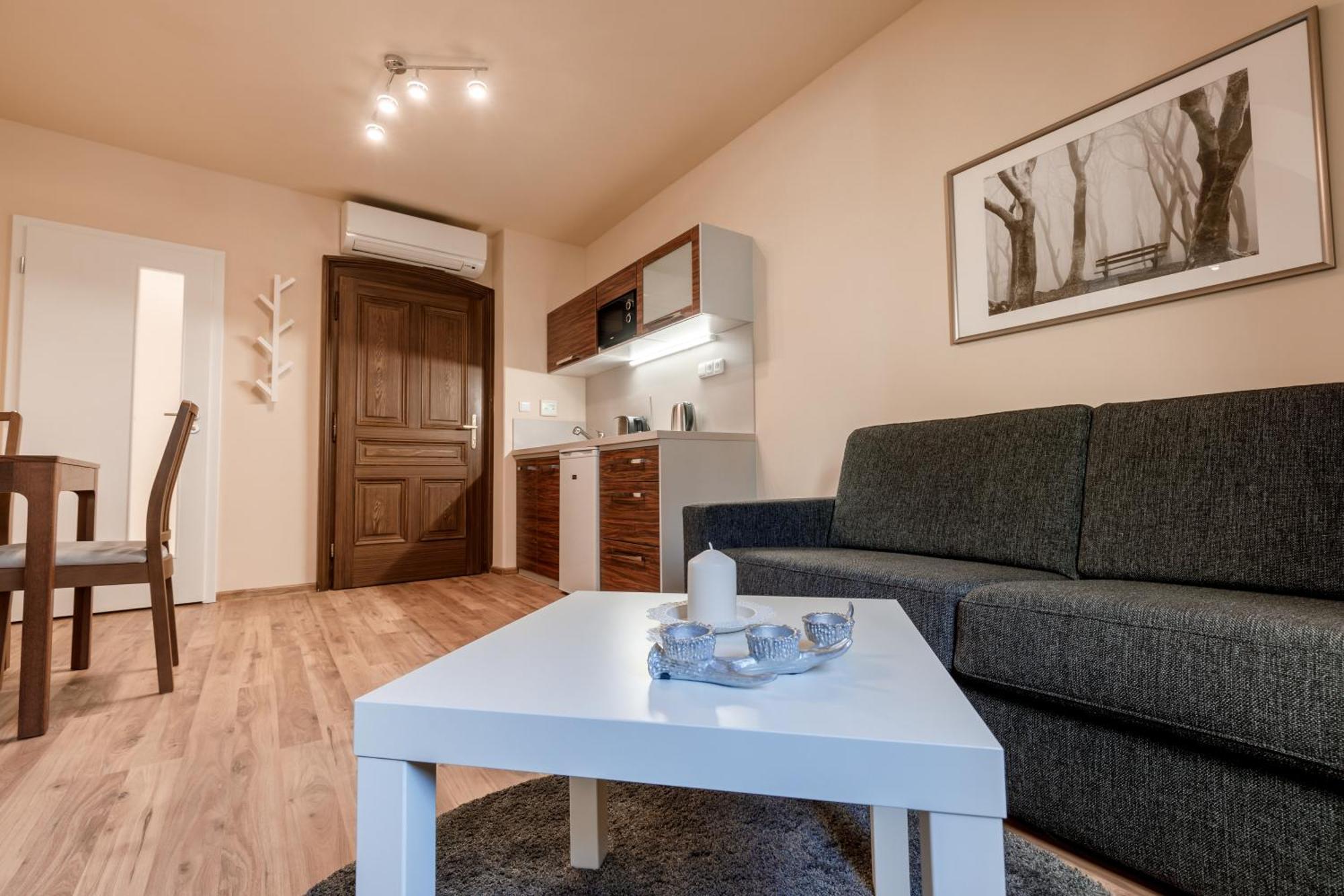 Apartments Menuet カルロヴィ・ヴァリ 部屋 写真