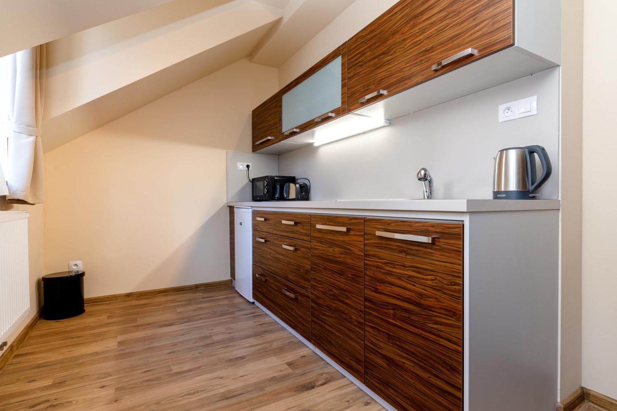 Apartments Menuet カルロヴィ・ヴァリ 部屋 写真